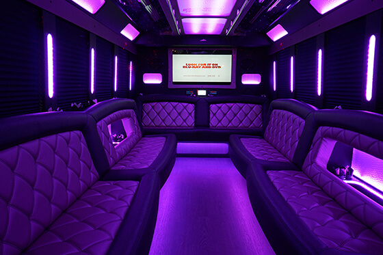 Party Bus image 13